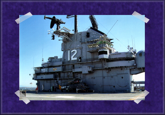 Hornet Photo 1