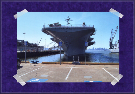 Hornet Photo 2